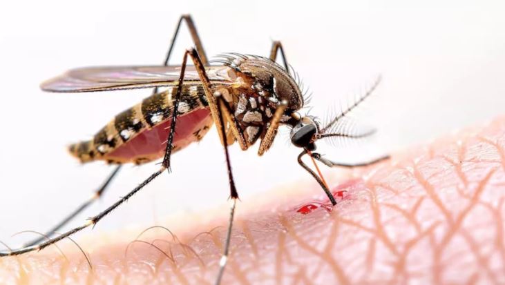 Photo of द‍िल्‍ली में बढ़े Dengue और Malaria के मरीज, इन लक्षणों को न करें अनदेखा