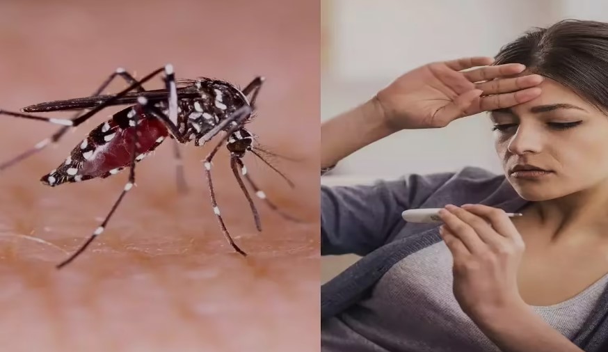 Photo of वायरल बुखार से लेकर डेंगू तक, बदलते मौसम ने बढ़ाई लोगों की परेशानी