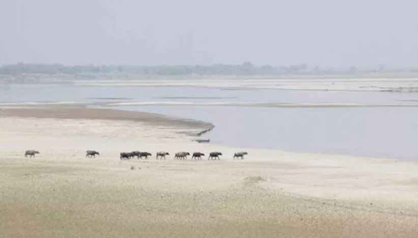 Photo of सिंधु नदी का 80 फीसदी पानी सूखा; 12 लाख लोग पाक से पलायन को मजबूर