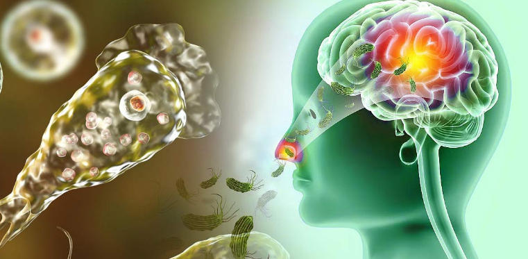 Photo of ब्रेन ईटिंग अमीबा, बुखार के साथ दिखें ये लक्षण तो तुरंत हो जाएं सावधान