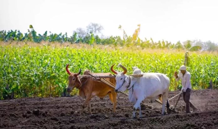 Photo of इन किसानों के आवेदन हो सकते हैं रद्द, कहीं आप तो नहीं कर रहे ये गलतियां