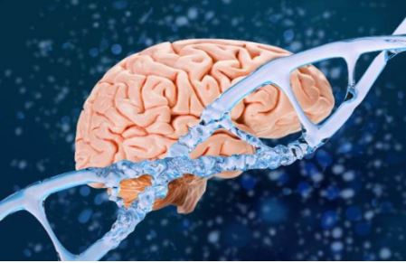 Photo of हंटिंगटन डिजीज के इलाज में नई उम्मीद, जीन थेरेपी बनी गेम-चेंजर