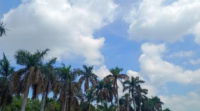 Photo of छत्तीसगढ़ में मानसून की विदाई , अगले कुछ दिन हल्की बारिश के आसार