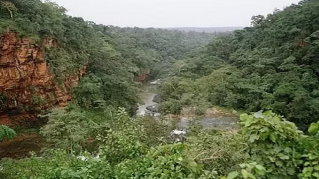 Photo of बस्तर के आसना में खुलेगा छत्तीसगढ़ का पहला वन विज्ञान केन्द्र
