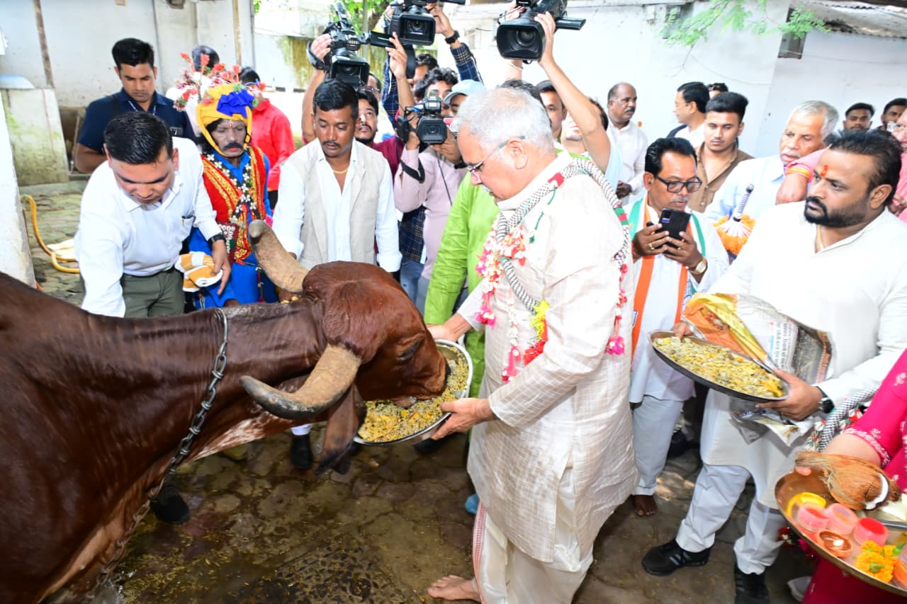 Photo of गोवर्धन पूजा हमारी संस्कृति और एकता का प्रतीक- भूपेश बघेल