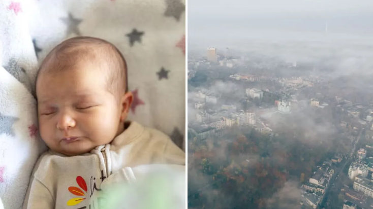 Photo of वायु प्रदूषण बिगाड़ रहा नवजात के दिमागी विकास की रफ्तार