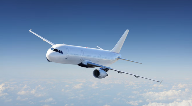 Photo of इंडिगो फ्लाइट का लैंडिंग से पहले दरका विंडशील्ड, एयर के विमान से टकराया पक्षी