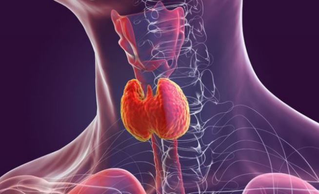 Photo of थायराइड रोगी भूलकर भी न करें इन चार चीजों का सेवन