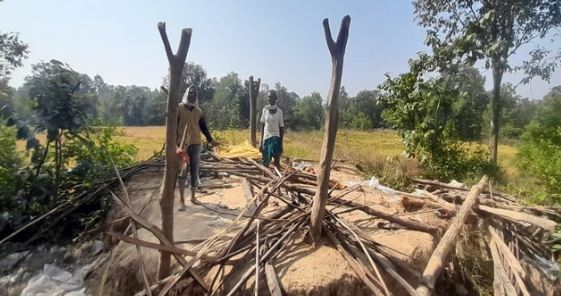 Photo of छत्तीसगढ़: हाथियों के झुंड ने किसानों की फसलों को किया बर्बाद