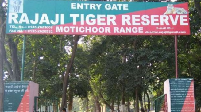 Photo of देहरादून: सैलानियों के लिए खुलेगा राजाजी टाइगर रिजर्व पार्क