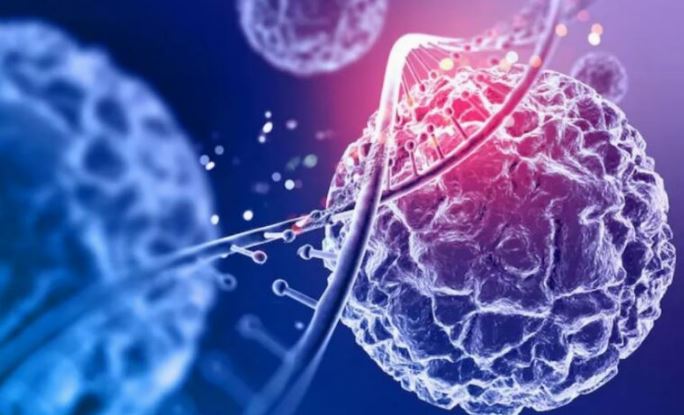 Photo of अब बैक्टीरिया को ‘हैक’ करके होगा कैंसर का इलाज जाने कैसे