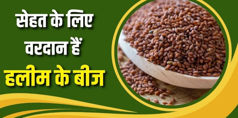 Photo of रोज हलीम के बीज खाने से शरीर में दिखेंगे 7 कमाल के बदलाव