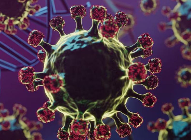 Photo of 2025 में गूगल पर सबसे ज्यादा सर्च किया गया HMPV वायरस