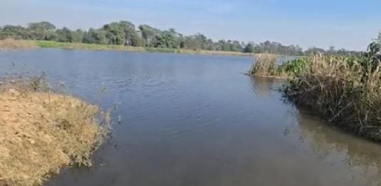 Photo of कोरबा: राइस मिल संचालक की मनमानी, संबंधित विभाग मेहरबान