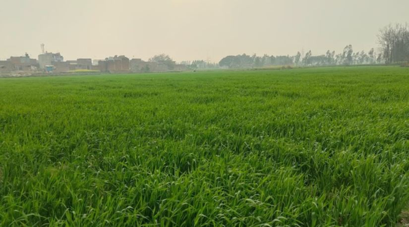 Photo of बरेली: परसाखेड़ा आवासीय योजना के लिए जमीन देने से किसानों का इन्कार