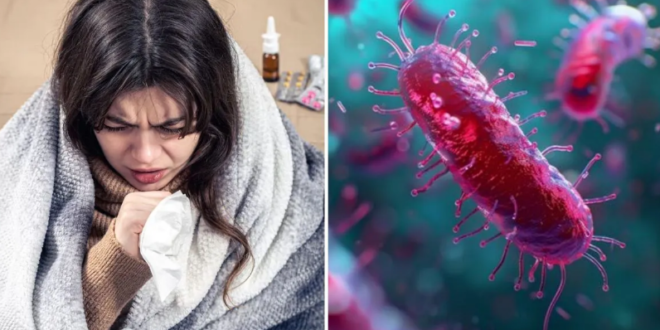 Photo of जानलेवा होता जा रहा है टायफाइड! एंटीबायोटिक दवाएं भी बेअसर