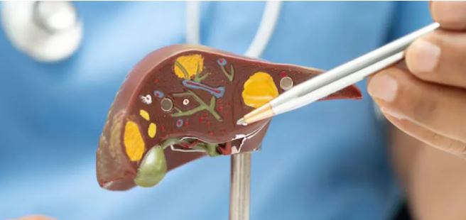 Photo of ज्यादा तला-भुना और फैटी खाना बन सकता है लिवर कैंसर की वजह