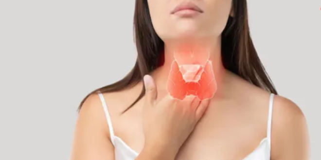 Photo of पुरुषों से ज्यादा महिलाओं में बढ़ रही है थायरॉइड की समस्या