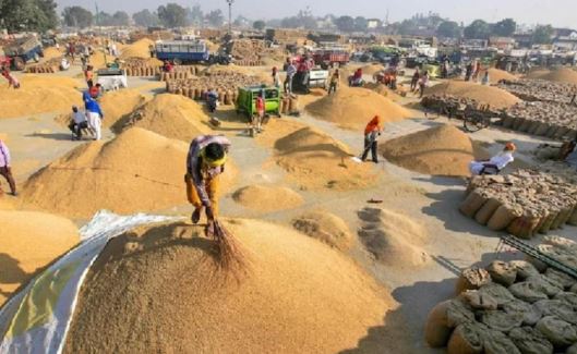 Photo of छत्तीसगढ़ में धान खरीदी तेज, 23.48 लाख किसानों को मिला 29 हजार 597 करोड़ का भुगतान