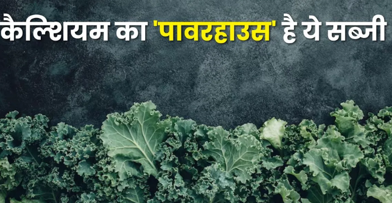 Photo of दूध-संतरा सब फेल! इस सब्जी में है भरपूर कैल्शियम और विटामिन-C