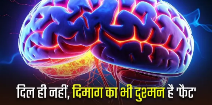 Photo of शरीर में फैट का संतुलन बिगड़ने से दिमाग की नसें हो जाती हैं कमजोर