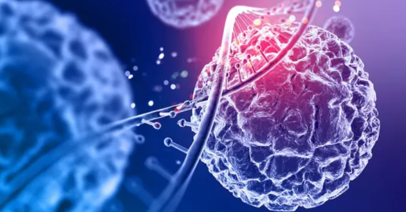 Photo of कैंसर के इलाज में बड़ी कामयाबी: IIT बॉम्बे ने खोजा टी-सेल्स को सुरक्षित रखने का नया तरीका