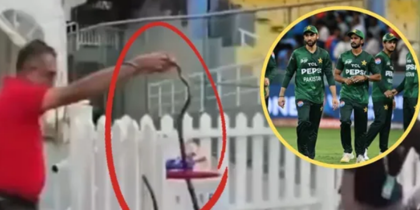 Photo of IND vs PAK: कोलंबो में महामुकाबले से पहले पाकिस्तान के डगआउट में निकला सांप