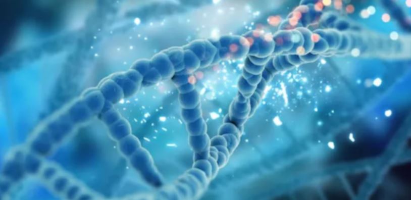 Photo of आप कितना लंबा जिएंगे? जवाब आपकी लाइफस्टाइल में नहीं, आपके DNA में छिपा है