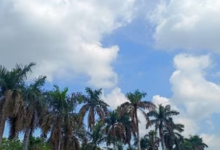 Photo of छत्तीसगढ़ में गर्मी की रफ्तार तेज: दिन का पारा चढ़ेगा तीन डिग्री तक, मौसम रहेगा पूरी तरह शुष्क