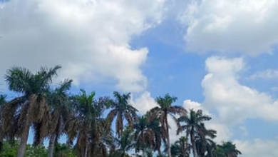 Photo of छत्तीसगढ़ में गर्मी की रफ्तार तेज: दिन का पारा चढ़ेगा तीन डिग्री तक, मौसम रहेगा पूरी तरह शुष्क