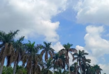 Photo of तेज धूप और बढ़ता पारा, छत्तीसगढ़ में अगले तीन दिन गर्मी का असर और बढ़ेगा