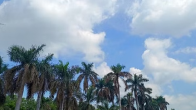 Photo of तेज धूप और बढ़ता पारा, छत्तीसगढ़ में अगले तीन दिन गर्मी का असर और बढ़ेगा