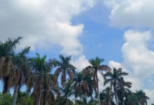 Photo of होली के बाद बढ़ी गर्मी, छत्तीसगढ़ में अगले सात दिन तक तापमान में खास बदलाव नहीं