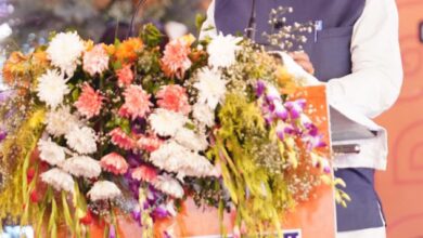 Photo of राज्य सरकार की योजनाओं से आम लोगों के जीवन में सकारात्मक बदलाव- साय