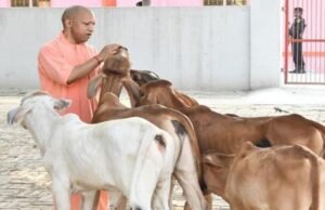 देश में यूपी नंबर वन: योगी सरकार में बढ़ा 40 फीसदी दुग्ध उत्पादन, बड़ी ताकत बनीं ग्रामीण महिलाएं