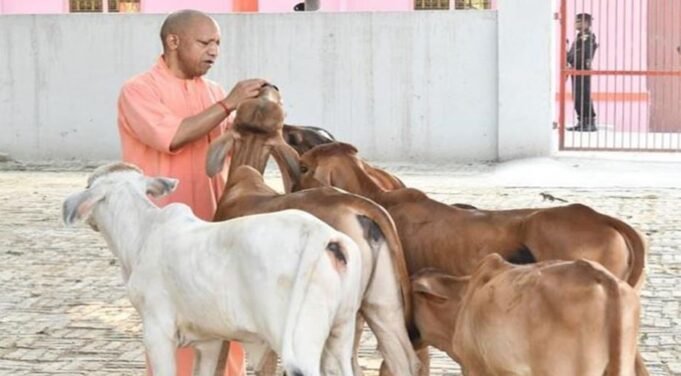 देश में यूपी नंबर वन: योगी सरकार में बढ़ा 40 फीसदी दुग्ध उत्पादन, बड़ी ताकत बनीं ग्रामीण महिलाएं