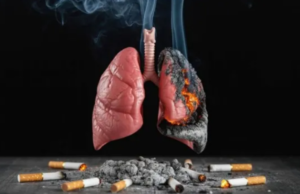 सिर्फ फेफड़े ही नहीं, शरीर के इन अंगों को भी खोखला करता है सिगरेट का धुआं