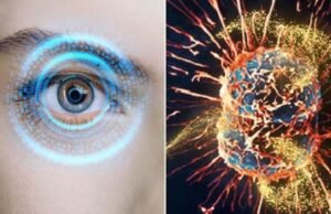 सिर्फ आंखों की रोशनी ही नहीं, जानलेवा कैंसर के खिलाफ भी ढाल बनेगा ये ‘खास’ न्यूट्रिएंट