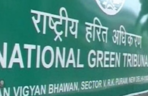 नमभूमि प्राधिकरण की एनजीटी को रिपोर्ट: अतिक्रमण में डूबे तालाब, प्यासी दिल्ली