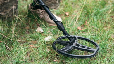 Photo of डीयू के दो कॉलेजों को बम से उड़ाने की धमकी, खाली कराया गया कैंपस