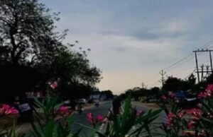 आंधी-बारिश से बदला छत्तीसगढ़ का मौसम, आज भी कई जिलों में अलर्ट