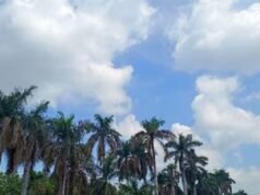 भीषण गर्मी के बीच मौसम का यू-टर्न: छत्तीसगढ़ में अंधड़ और बारिश की एंट्री