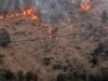 Uttarakhand: घर की ओर बढ़ रही जंगल की आग को रोकने गई महिला, बुरी तरह झुलसने से मौत