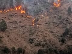 Uttarakhand: घर की ओर बढ़ रही जंगल की आग को रोकने गई महिला, बुरी तरह झुलसने से मौत