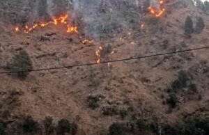 Uttarakhand: घर की ओर बढ़ रही जंगल की आग को रोकने गई महिला, बुरी तरह झुलसने से मौत