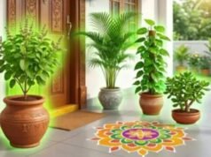 घर के मुख्य द्वार के लिए कौन-से पौधे हैं शुभ और कौन-से अशुभ?