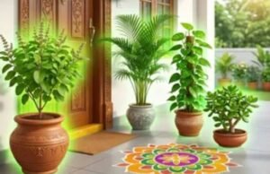 घर के मुख्य द्वार के लिए कौन-से पौधे हैं शुभ और कौन-से अशुभ?