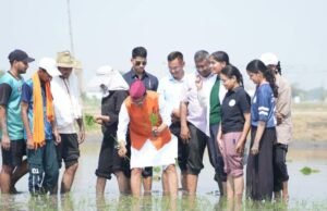 जंगली जानवरों से फसलों की सुरक्षा के लिए 65 करोड़ !