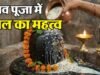 भगवान शिव को चावल अर्पित करने से क्यों बढ़ती है स्थिर लक्ष्मी?