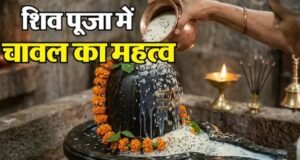 भगवान शिव को चावल अर्पित करने से क्यों बढ़ती है स्थिर लक्ष्मी?